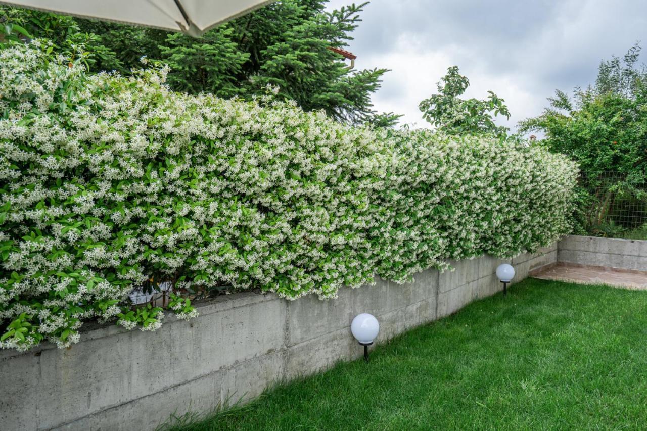 Panorama Luxury With Garden 2 דירה *